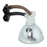 Phoenix SHP101 Phoenix Projector Bare Lamp