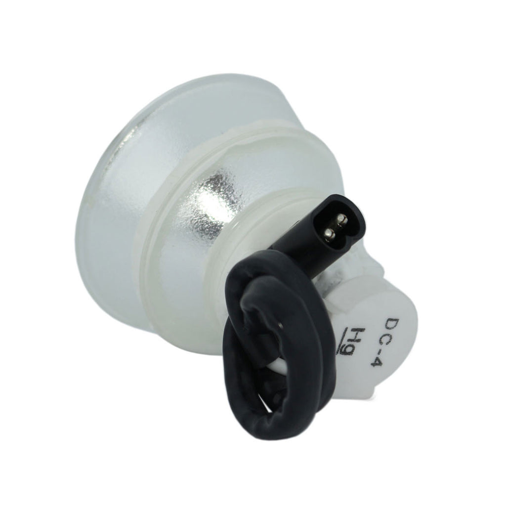 Sharp AN-XR10L2/1 Phoenix Projector Bare Lamp