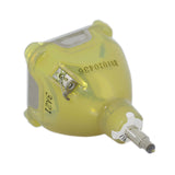 Liesegang ZU0283-04-4010 OEM Projector Bare Lamp