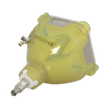 Liesegang ZU0284-04-4010 OEM Projector Bare Lamp