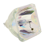 IWASAKI HS150AR09-4 OEM Projector Bare Lamp