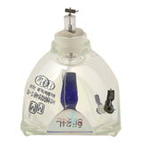 IWASAKI HS150AR09-4 OEM Projector Bare Lamp