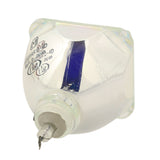 IWASAKI HS150AR09-4 OEM Projector Bare Lamp