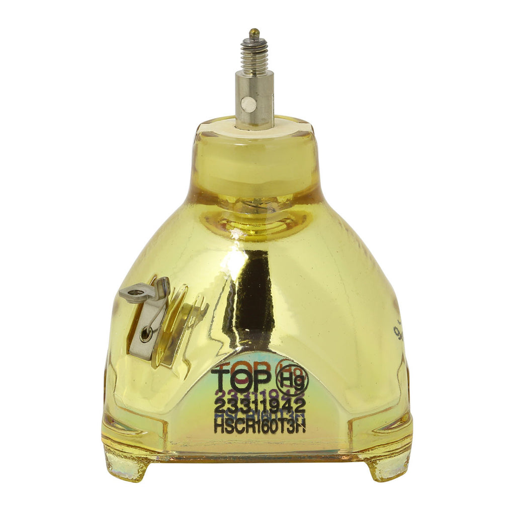 IWASAKI HSCR160T3H OEM Projector Bare Lamp