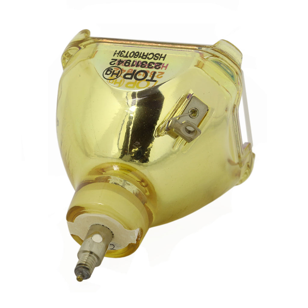 IWASAKI HSCR160T3H OEM Projector Bare Lamp