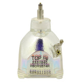 IWASAKI HSCR125T4H OEM Projector Bare Lamp