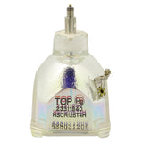 IWASAKI HSCR125T4H OEM Projector Bare Lamp