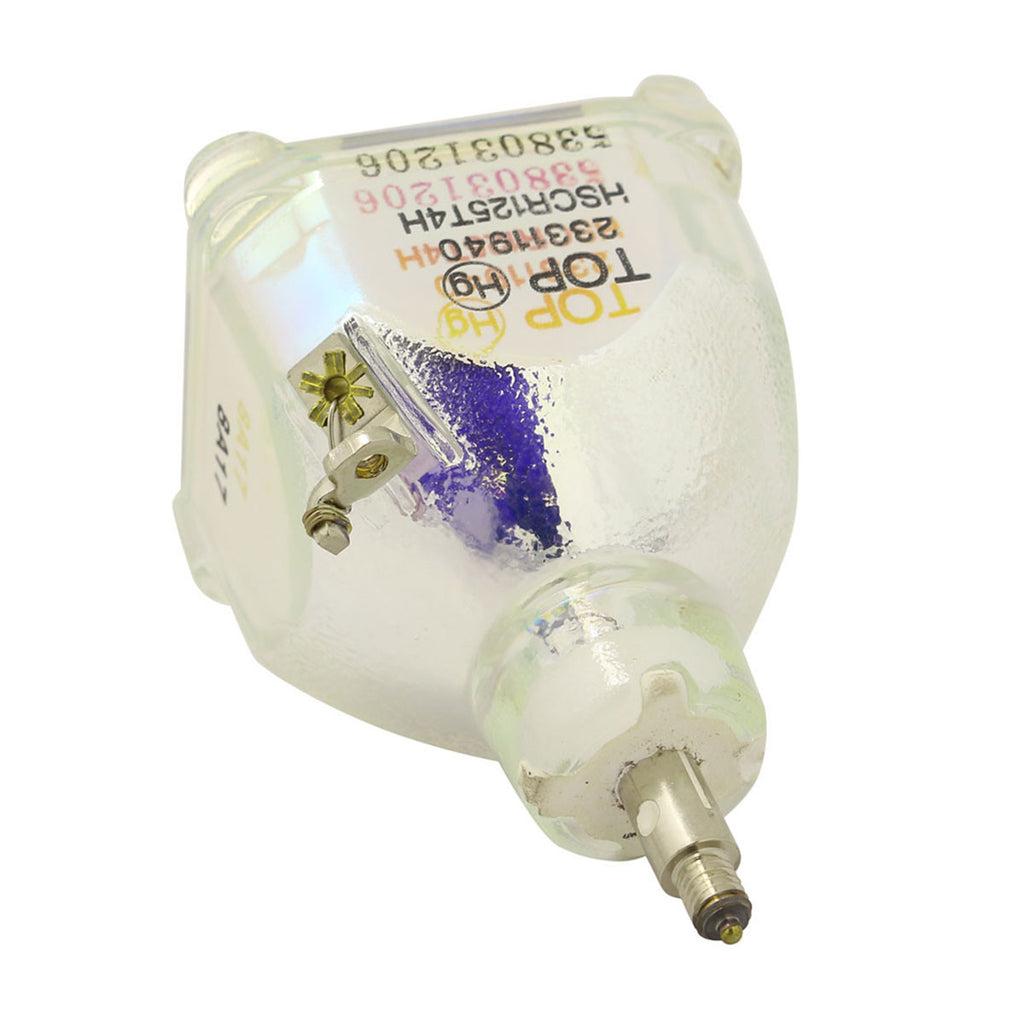 IWASAKI HSCR125T4H OEM Projector Bare Lamp