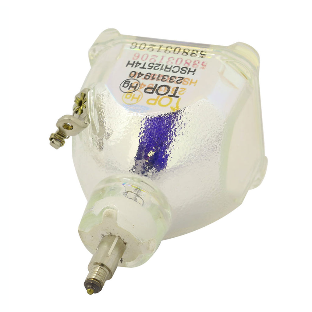 Toshiba TLP-LB2 OEM Projector Bare Lamp