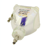 IWASAKI HSCR125T4H OEM Projector Bare Lamp