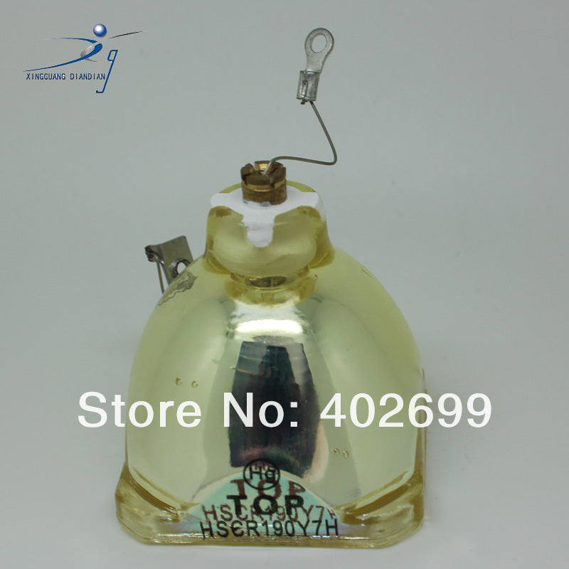 IWASAKI HSCR190Y7H OEM Projector Bare Lamp