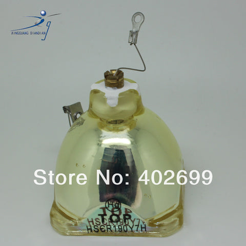 IWASAKI HSCR190Y7H OEM Projector Bare Lamp