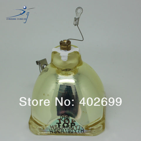 IWASAKI  HSCR190Y7H OEM Projector Bare Lamp