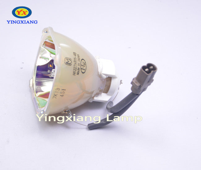 IWASAKI HS220AR11-4B OEM Projector Bare Lamp