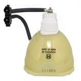 IWASAKI HS220AR13-4A  OEM Projector Bare Lamp