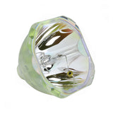 IWASAKI HS200AR08-2 OEM Projector Bare Lamp