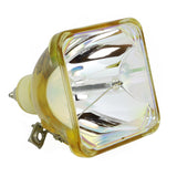 IWASAKI HS130AR10-9 OEM Projector Bare Lamp