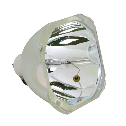 IWASAKI HS170AR12-4 OEM Projector Bare Lamp