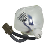 IWASAKI HS170AR12-4 OEM Projector Bare Lamp