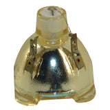 Optoma 5811116701-SOT Philips Projector Bare Lamp