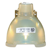 Digital Projection  109-215J Philips Projector Bare Lamp