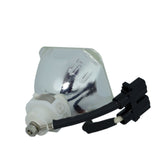 Liesegang ZU1240-04-4010 Ushio Projector Bare Lamp