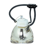 Digital Projection  109-215J Ushio Projector Bare Lamp