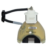 Liesegang ZU0288-04-4010 Ushio Projector Bare Lamp