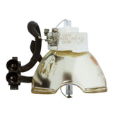 Panasonic ET-LAV200  Ushio Projector Bare Lamp
