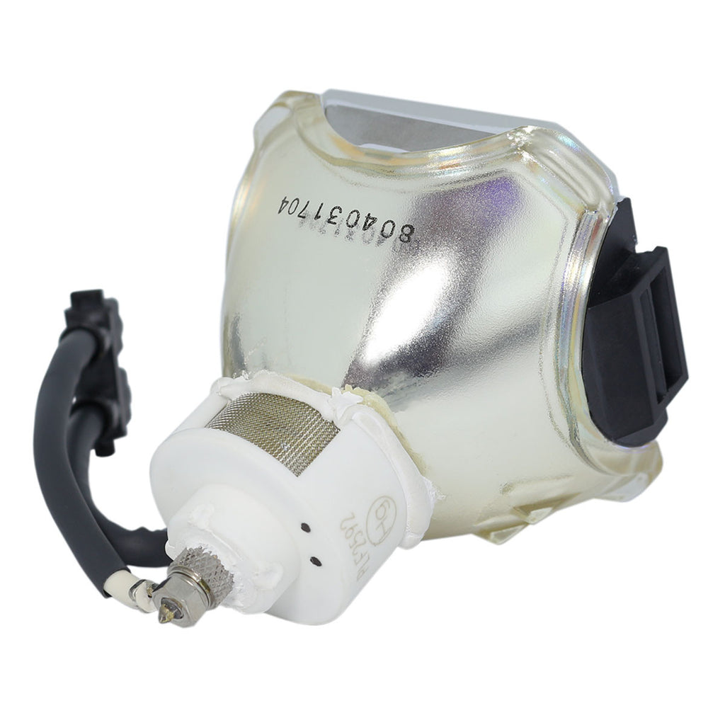Liesegang ZU0212-04-4010 Ushio Projector Bare Lamp