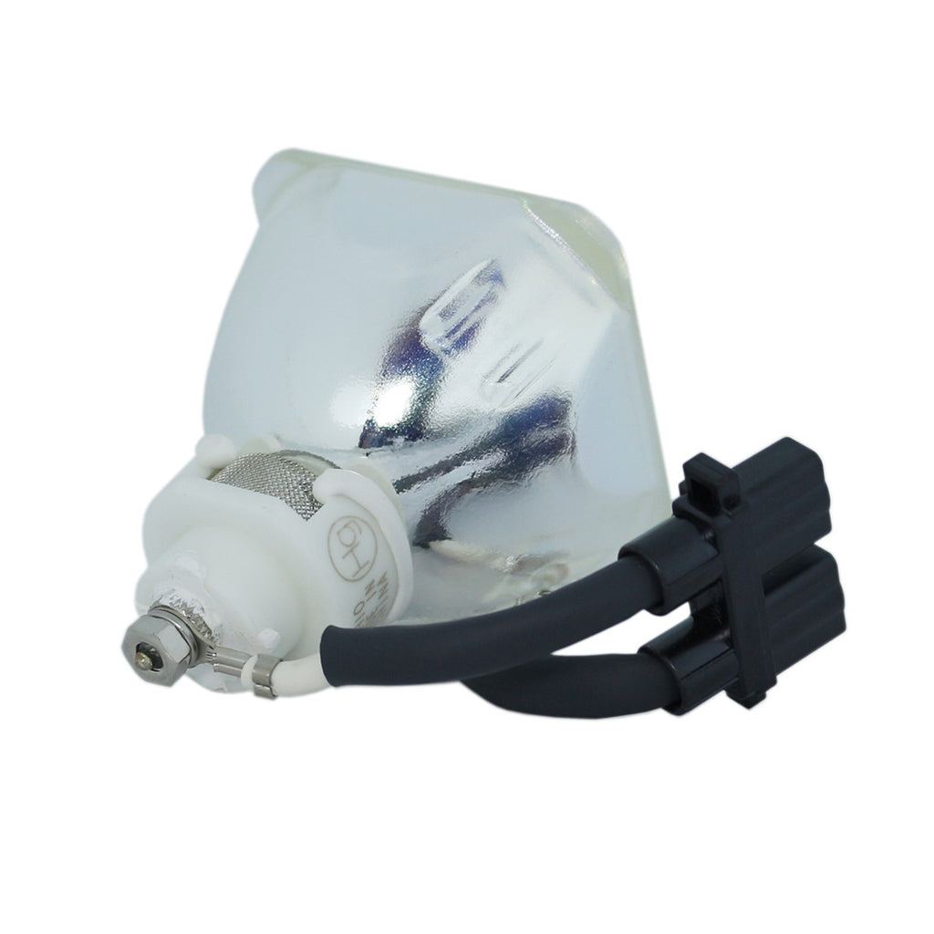Liesegang ZU1212-04-4010 Ushio Projector Bare Lamp