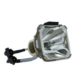 Liesegang ZU0289-04-4010 Ushio Projector Bare Lamp