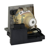 Kindermann 8954 Philips Projector Lamp Module