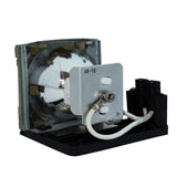 Eiki AH-57201 Phoenix Projector Lamp Module