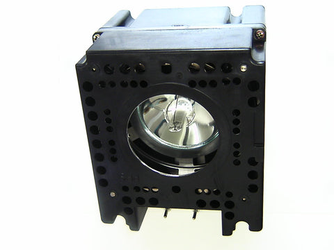 Liesegang ZU0237-04-4010 OEM Projector Lamp Module