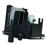 Liesegang ZU0296-04-4010 OEM Projector Lamp Module