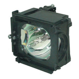 Samsung BP63-00670A TV Lamp Module