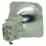 Acer EC.J3001.001 Osram Projector Bare Lamp