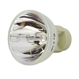 Optoma BL-FP240G  Osram Projector Bare Lamp