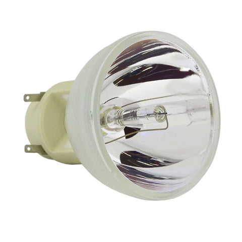 BenQ 5J.JE905.001 Osram Projector Bare Lamp