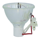 Infocus SP-LAMP-018 Phoenix Projector Bare Lamp