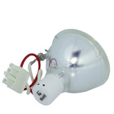 Phoenix SHP58 Phoenix Projector Bare Lamp