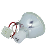 Infocus SP-LAMP-021 Phoenix Projector Bare Lamp