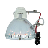 Infocus SP-LAMP-026 Phoenix Projector Bare Lamp