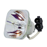 Liesegang ZU1208-04-4010 OEM Projector Bare Lamp