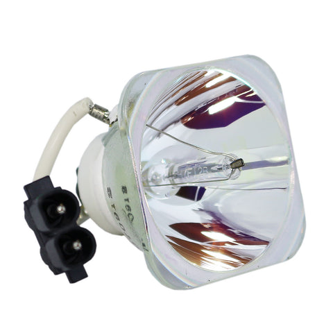 Liesegang ZU0218-04-4010 OEM Projector Bare Lamp