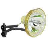 Liesegang ZU0205-04-4011 OEM Projector Bare Lamp