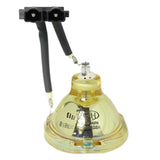 Liesegang ZU0205-04-4011 OEM Projector Bare Lamp
