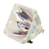 IWASAKI HS150AR09-4 OEM Projector Bare Lamp