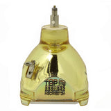 Sanyo POA-LMP66 OEM Projector Bare Lamp